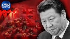 Star dell’Nba Enes Kanter: «Xi Jinping è un brutale dittatore» | China in Focus
