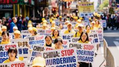 Panorama denuncia il prelievo forzato di organi in Cina. L'ambasciata cinese protesta