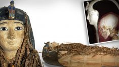 Scienziati 'scartano' la mummia di Amenhotep I con scansioni Tc