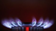 Bollette alle stelle: +55% l’elettricità e +41,8% il gas. E potrebbe non essere tutto