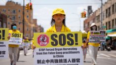 Sottrazione di organi in Cina, un «crimine perfetto» che non lascia sopravvissuti