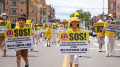«È ora di svegliarsi»: l’appello ai medici contro il prelievo forzato di organi in Cina