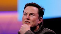 «Twitter sta morendo?», chiede Elon Musk