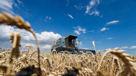 Coldiretti: speculazioni su grano, raccolta e prezzo in calo