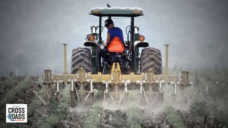 In arrivo una crisi alimentare pianificata da Davos e Ue? Gli agricoltori olandesi si ribellano