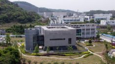 L’Fbi avvia un’indagine sui finanziamenti al laboratorio di Wuhan