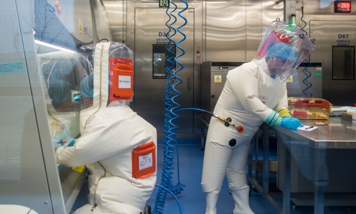 Esperto Usa: il laboratorio di Wuhan aveva manipolato il virus Nipah