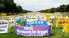 Praticanti del Falun Gong a Washington chiedono la fine della persecuzione in Cina