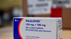 La pillola Paxlovid di Pfizer non mostra benefici misurabili negli adulti tra 40 e 65 anni