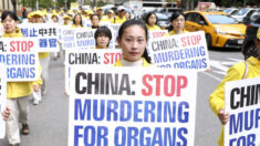 L'appello medico ai funzionari del Pcc dopo la morte del dittatore Jiang: cessate il prelievo forzato di organi