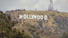 Hollywood è il cagnolino di Pechino