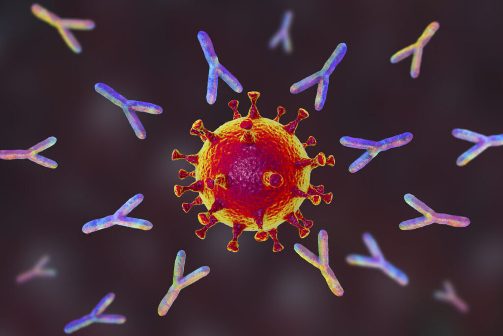 Illustrazione di anticorpi (a forma di y) rispondono ad un’infezione con il nuovo coronavirus Sars-CoV-2. (Getty Images)