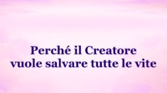 Perché il Creatore vuole salvare tutta la vita
