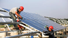 'Sporco segreto': I pannelli solari cinesi producono 3 volte più emissioni