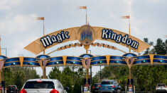 I numeri di Disney World «non sono normali». Interviene il Ceo