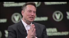 Elon Musk: ti licenziano per un post? Ti pago gli avvocati
