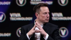 «Follia totale»: la reazione di Elon Musk alla proposta di legge californiana sull’affermazione del genere
