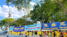 Praticanti del Falun Gong difendono i diritti umani davanti all'Assemblea Generale delle Nazioni Unite