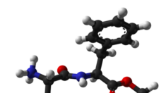 Studio sui topi, l'aspartame può portare a deficit cognitivi nella prole