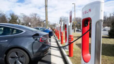 La più grande stazione di ricarica Tesla per veicoli elettrici è alimentata a diesel