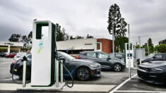 I veicoli elettrici il «prossimo grande flop» del mercato automobilistico?