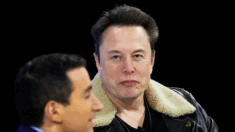 Musk: «Non ho problemi a essere odiato». Ma molte aziende abbandonano la pubblicità su X