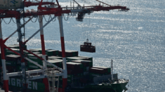 La Cina ha piazzato dispositivi misteriosi sulle gru utilizzate nei porti statunitensi