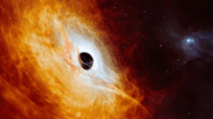 I ricercatori scoprono un buco nero da record e in rapida crescita