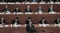 Cina, le Due Sessioni segnate da eventi insoliti e slogan bizzarri