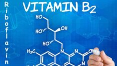 Vitamina B2, tutti i benefici e i segni della sua carenza
