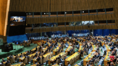 L’Assemblea Generale delle Nazioni Unite sostiene la richiesta di adesione dei palestinesi