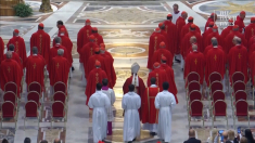 I cardinali si riuniscono per la messa di lutto nella Basilica di San Pietro