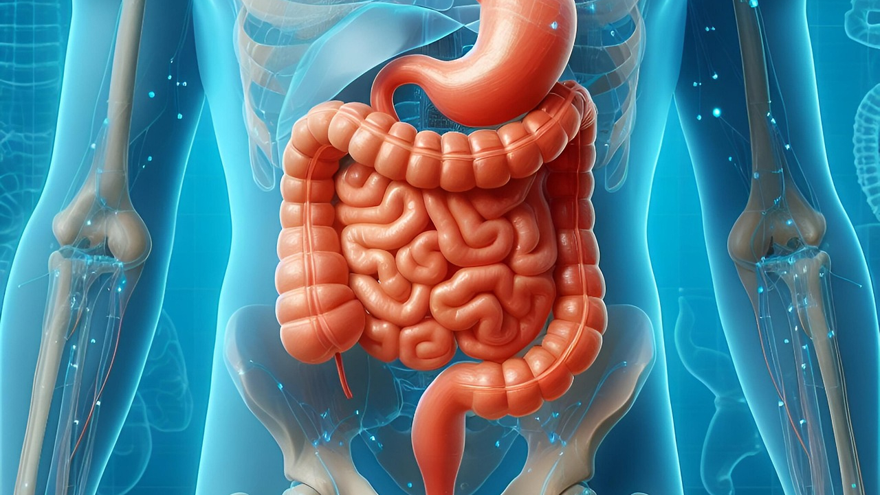 Come riequilibrare la flora batterica intestinale