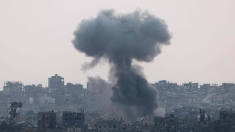 Delegazione attivisti italiani a Rafah: stop al genocidio di Gaza