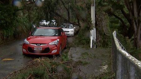 Tempesta storica in Nuova Zelanda: Venti record e alluvioni nella Capitale