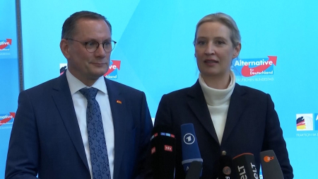 Intelligence tedesca: AfD partito estremista e minaccia per la democrazia