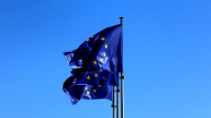 L’Ue indaga su quattro piattaforme porno online