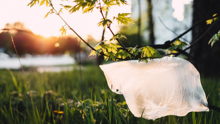 La plastica è un pericolo per il cuore?