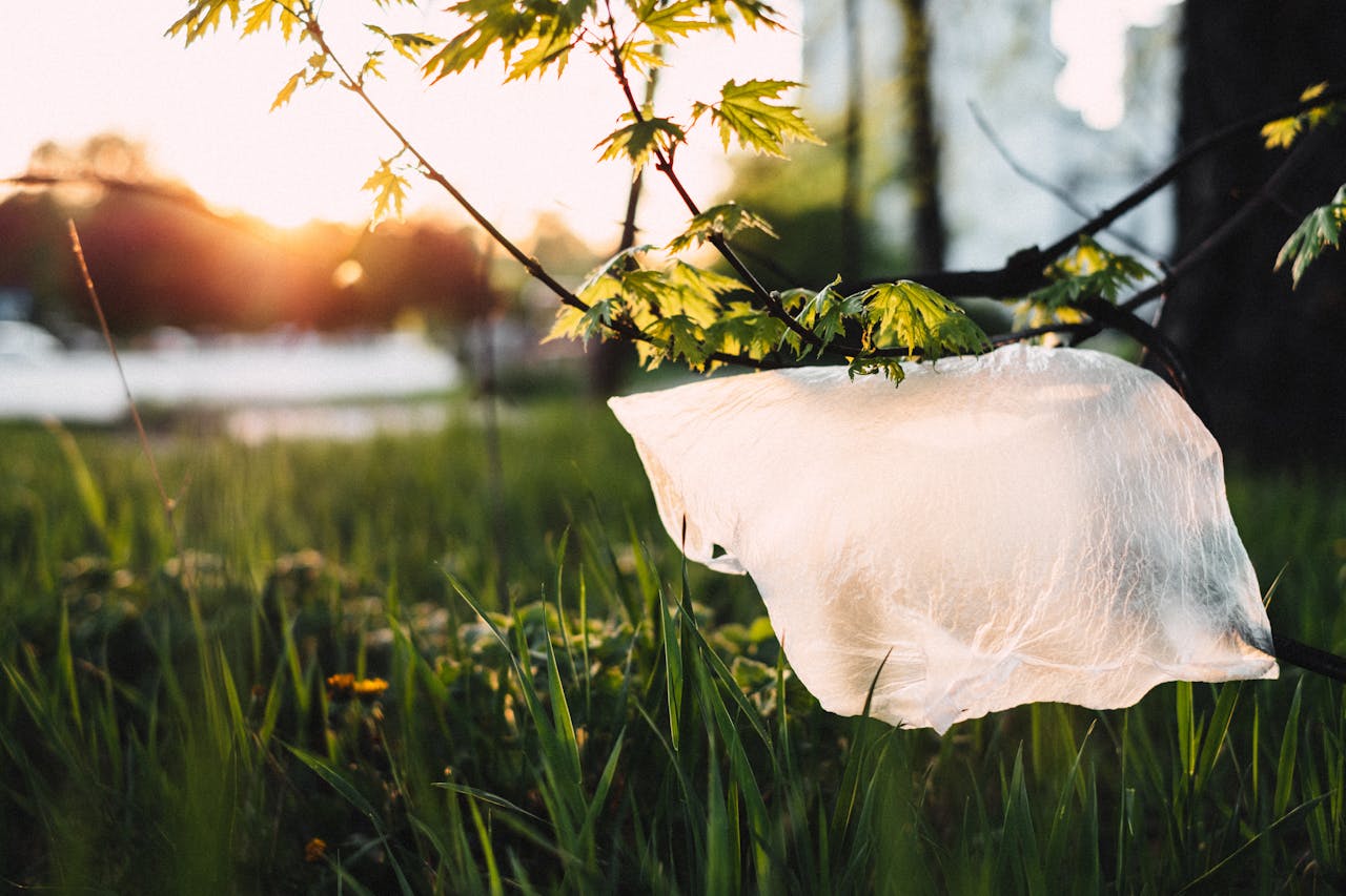 La plastica è un pericolo per il cuore?