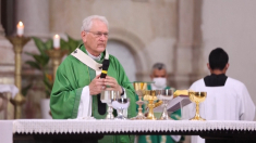 Papabili, il cardinale Leonardo Ulrich Steiner