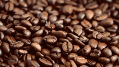Cirielli apre riunione dedicata a strategia italiana nel settore del caffè
