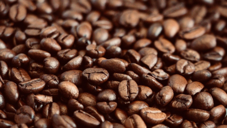 Cirielli apre riunione dedicata a strategia italiana nel settore del caffè