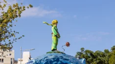 Attraverso gli occhi dell’amore, Il Piccolo Principe