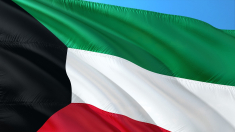 Italia-Kuwait, forte cooperazione in aviazione civile, difesa e sanità