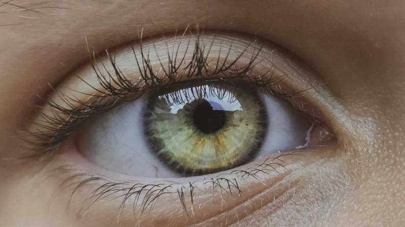Immagine di Lucas Boldrini via Pexels