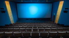 FdI: stop finanziamenti a film flop di amici sinistra