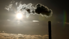 L’Ue esenta la maggioranza delle imprese dalla tassa sulla Co2