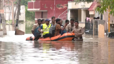 Inondazioni in India dopo forti piogge