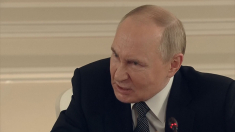 Putin vuole continuare la guerra