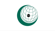 L’Organizzazione della cooperazione islamica chiede giustizia per l’Iran